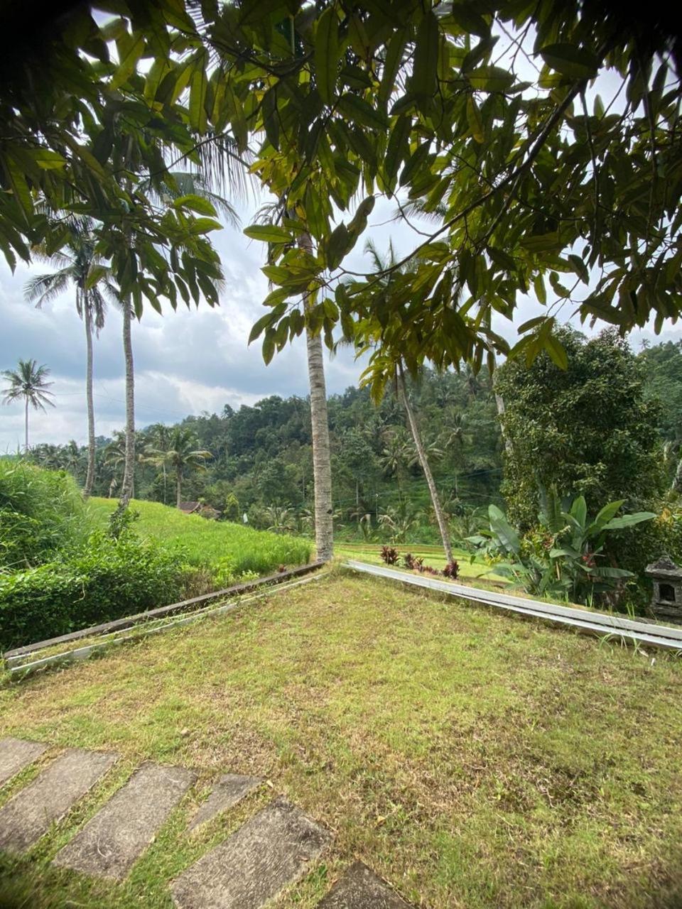 Uma D'Nyuh Homestay Singaraja  Exterior photo