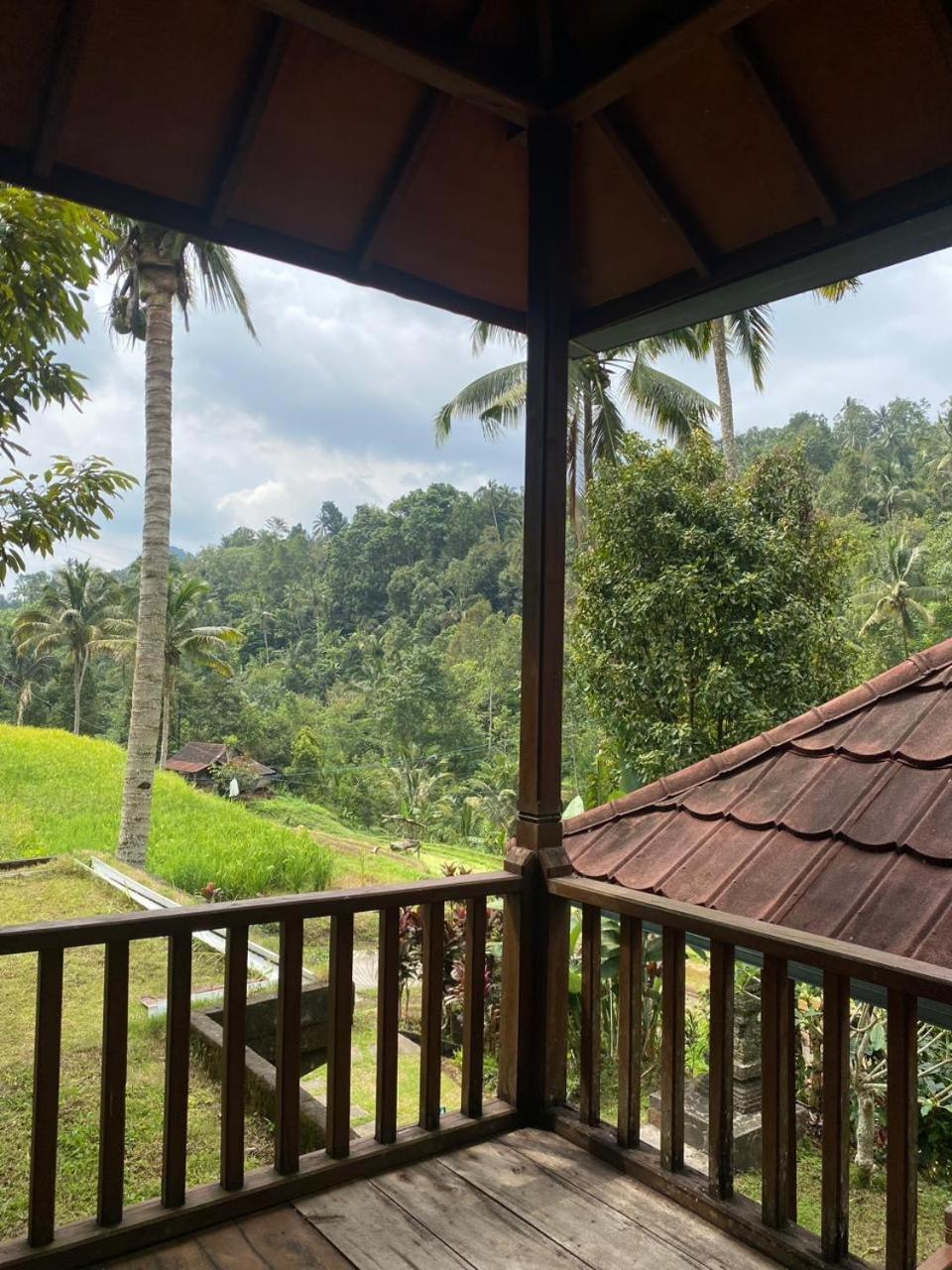Uma D'Nyuh Homestay Singaraja  Exterior photo
